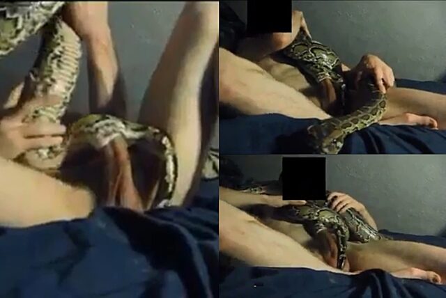 Man fucks a snake