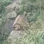Bush sex caught on camera: first of many sex tape filmed at Naivasha Safari Rally emerges
