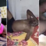 Man caught redhanded fucking his brother’s wife