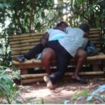Relive Muliro gardens moments