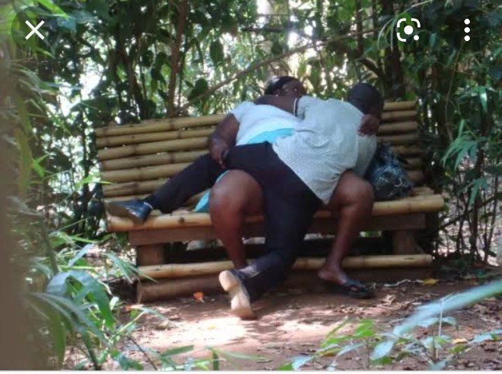 Relive Muliro gardens moments