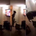 Man caught fapping in the living room