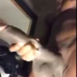 Mans with a donkey dick strokes it