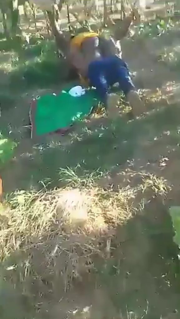 Gardener and househelp were caught fucking in a maize plantation